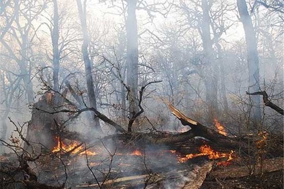 آتش‌ سوزی در جنگل‌ های گیلان