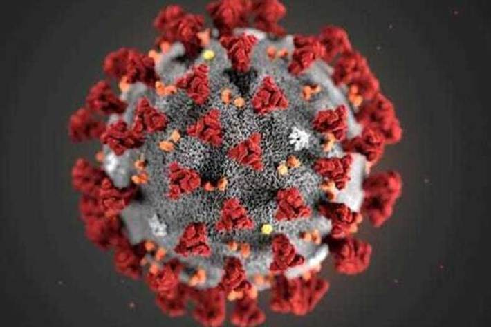 گروهی از متخصصان علوم پزشکی در بررسی‌های خود درباره کروناویروس نسبت به بروز احتمالی علائم و نشانه‌های این بیماری روی پوست هشدار دادند.