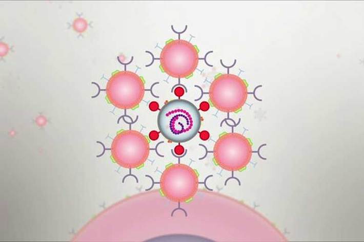 دانشمندان موفق به کشف و ساخت نانوذراتی موسوم به نانواسفنج شده‌اند که قادر است عفونت کروناویروس جدید را تا ۹۰ درصد کاهش دهد.