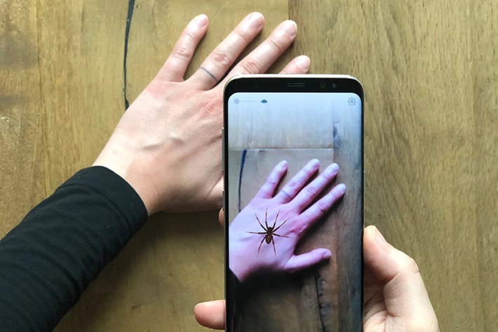 درمان فوبیای عنکبوت با اپلیکیشن گوشی‌های هوشمند
