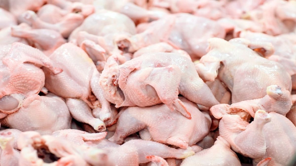 مدیرکل دفتر بازرگانی کالاهای کشاورزی گفت: محموله‌های گوشت مرغ گرم وارداتی برای تنظیم بازار و تامین بخشی از نیاز کشور در راه است.