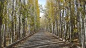 اجرای محور گردشگری چلهگاه در سپیدان