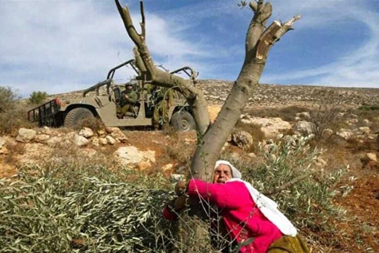 نهادهای بینالمللی جنایات شهرکنشینان صهیونیست در کرانه باختری را مستندسازی کنند