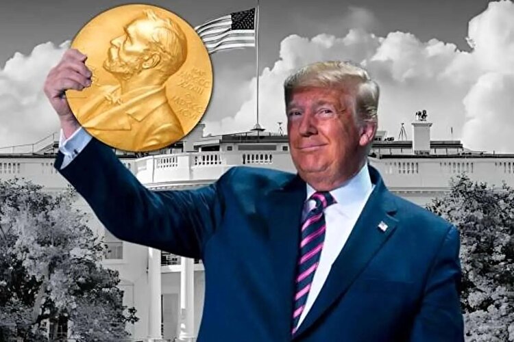 ببینید | کلیپ «من نوبل میخوام»