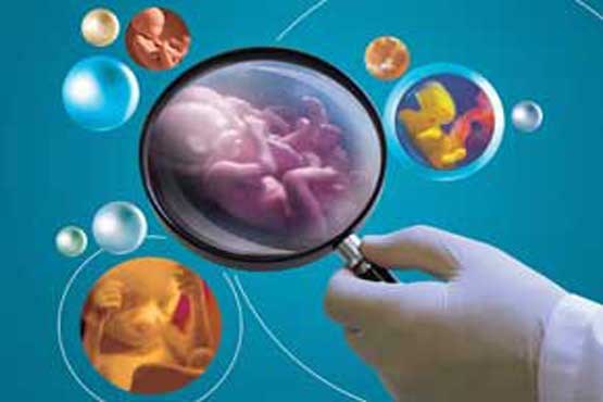 تولید کیت های فریز جنین توسط محققان ایرانی