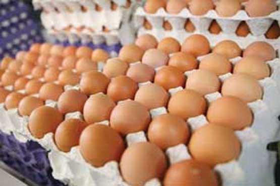 فروش تخم‌مرغ بیش از 7400 تومان ممنوع