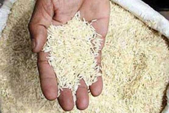 فروش برنج های قاچاق با 20 برابر حد مجاز سرب