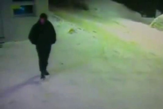 عابر راه را به گربه نشان می‌دهد