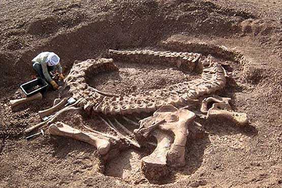 کشف قدیمی‌ترین دایناسور زمین