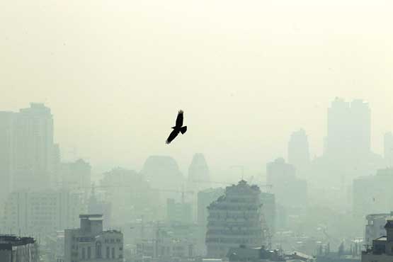 پرونده آلودگی هوا امروز در مجلس ورق می‌خورد