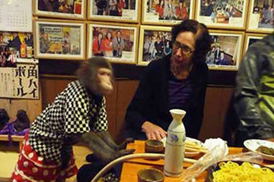 استخدام میمون در رستوران ژاپنی