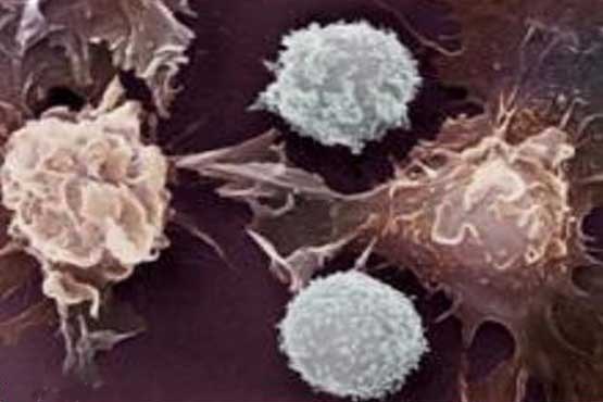 دستیابی دانشمندان به داروی جدید ضدسرطان