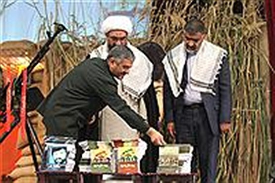 همایش کشوری شهدا و رزمندگان جنگ های نامنظم