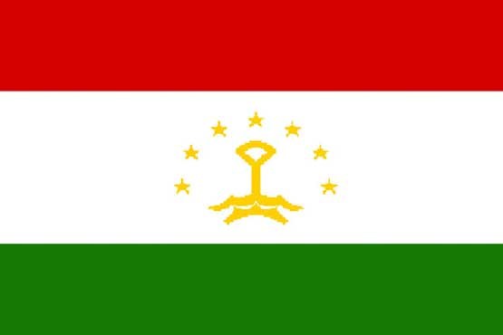 شغل دولتی فروشی در تاجیکستان