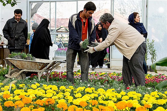 حرکت  کارناوال گل در خیابان‌های تهران