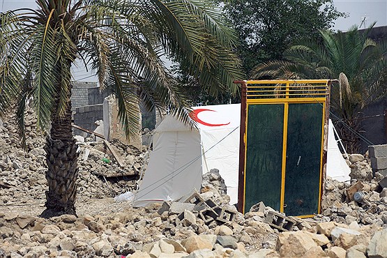 تلف شدن بیش از 3500 راس دام در زلزله دشتی بوشهر