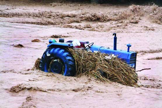 سیل 21 میلیارد تومان به استان بوشهر خسارت وارد کرد