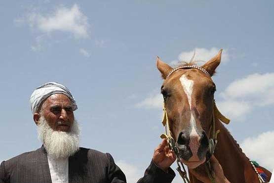 صدور اسب ترکمن از گمرک خراسان شمالی