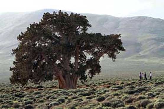 شناسایی 90 اثر تاریخی،طبیعی و ناملموس در خراسان شمالی