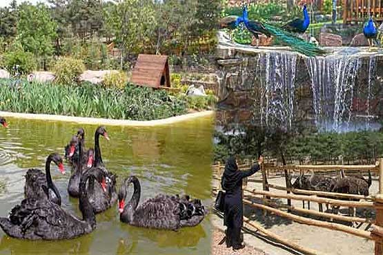 افتتاح باغ پرندگان در شمال شرق تهران