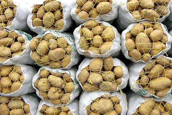 12هزار تن سیب زمینی سیستان وبلوچستان در راه بازار