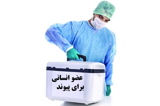 وقتی مرگ، زندگی می‌آفریند