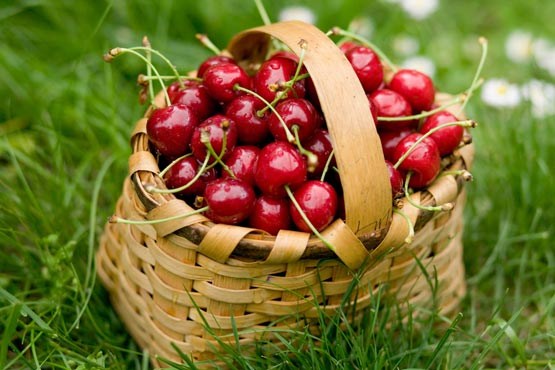 میوه‌های فیبردار تشنگی را کاهش می‌دهد