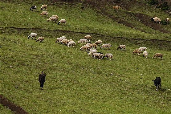 روستای ارده گیلان