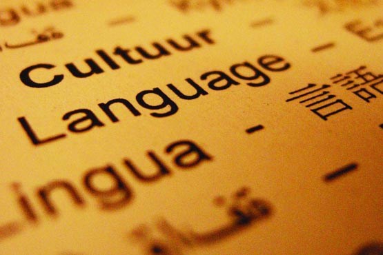 «تمشا»، نرم افزاری که ترجمه کردن را می آموزد