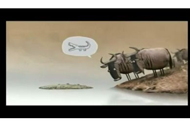 انیمیشن کروکدیل و گاوها