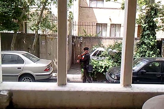 شبکه تهران/ شنبه