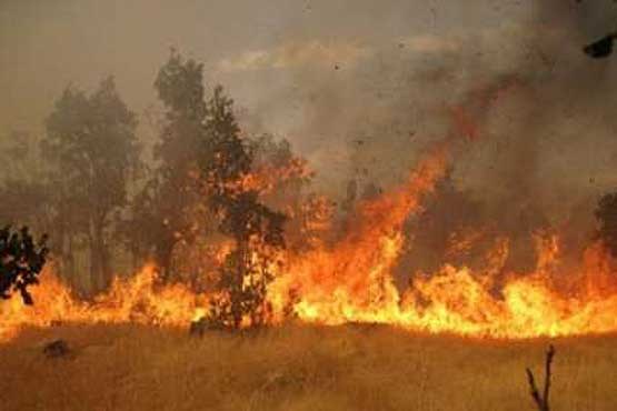 آتش‌سوزی منابع طبیعی و جنگلی در ممسنی فارس