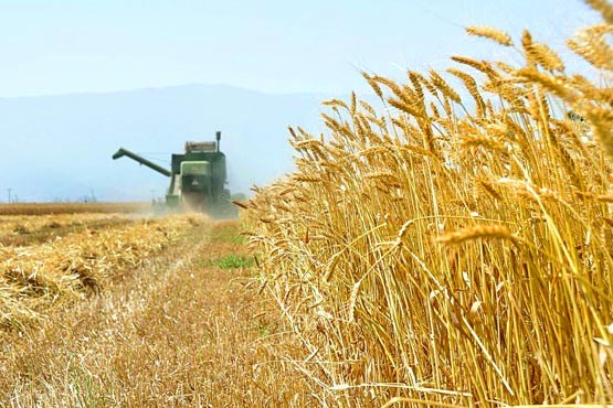 توسعه کشاورزی ایران یک اجبار است