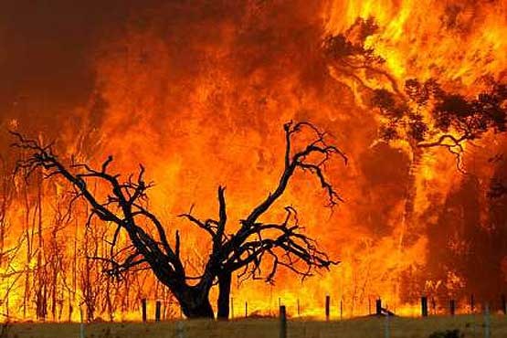 آتش‌سوزی‌‌های گسترده در استرالیا