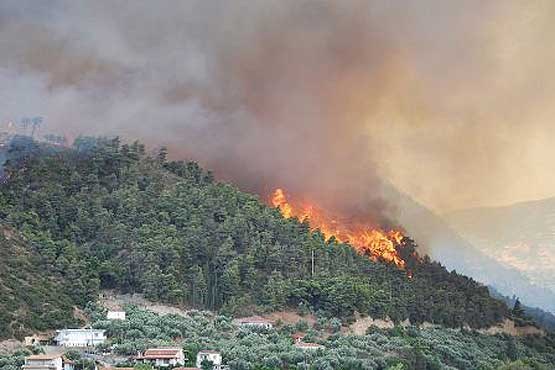 شرایط آتش‌سوزی در مراتع، باغات و جنگلها وجود دارد