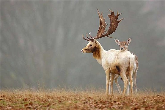 سفر با نشنال جئوگرافیک