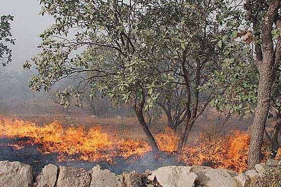 آتش‌سوزی این بار در بکرترین مناطق استان کرمان