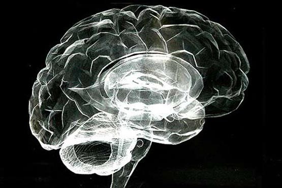 مدیتیشن روند کاهش ماده خاکستری مغز را کند می کند