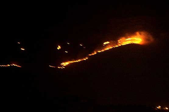 آتش‌سوزی گسترده پارک ملی بمو در شیراز