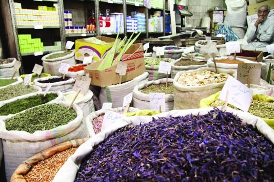 صادرات ۱۰۰ میلیون دلاری گیاهان دارویی از ایران