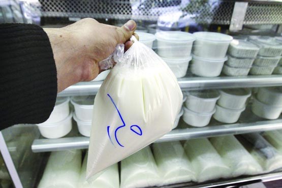 شیر گران، برای ایرانی‌ها می‌غرد