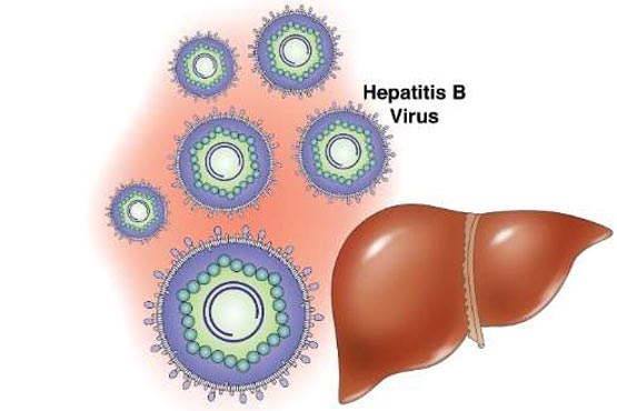 هپاتیت B، بیماری بدون علامت