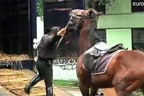 اسب های پلیس ، مکزیکو را به آشوب کشیدند