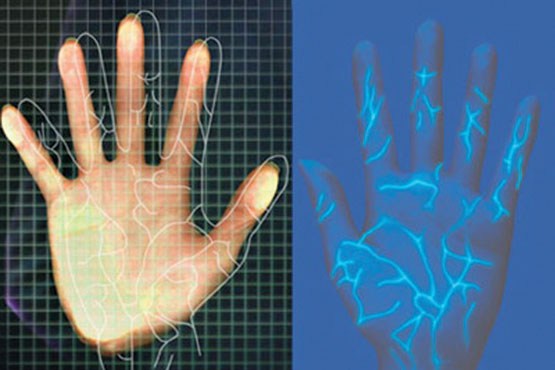 شناسایی بیومتریک با استفاده از اسکن رگ‌های خونی