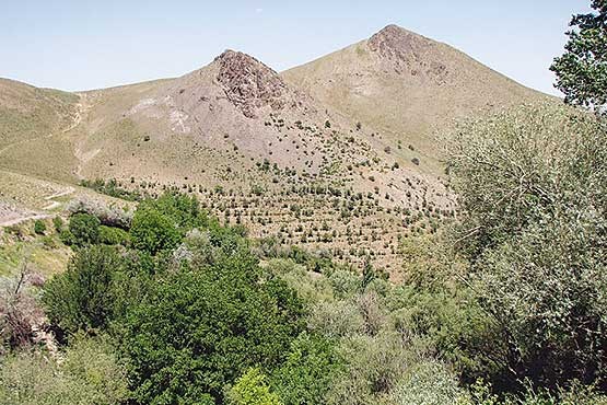 روستای چناقچی‌علیا
