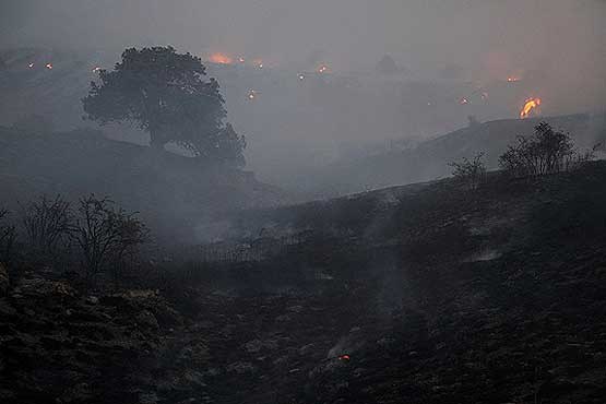 سه هکتار از جنگلهای گچساران در آتش سوخت