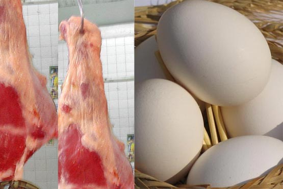 دانستنیهایی دربارهٔ گوشت و تخم مرغ