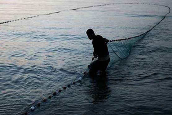 صید ماهیان خاویاری در دریای خزر متوقف شد