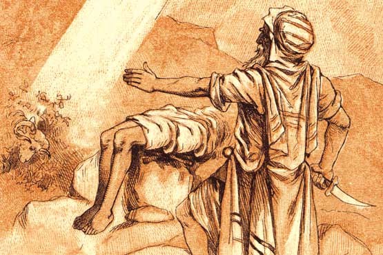 شهسوار ایمان کیست؟