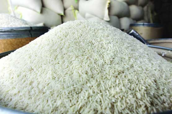 واردات برنج خارجی دو برابر نیاز کشور است